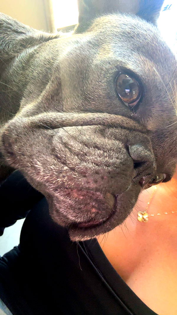 kylaayese image ~ Altpins