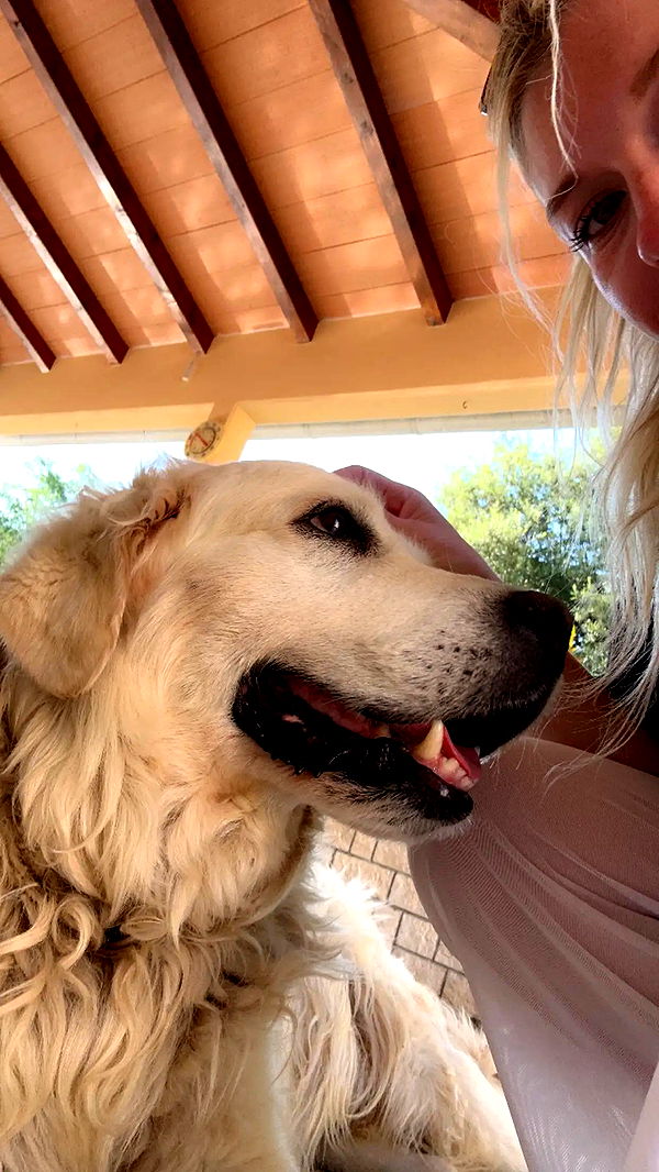 kylaayese image ~ Altpins