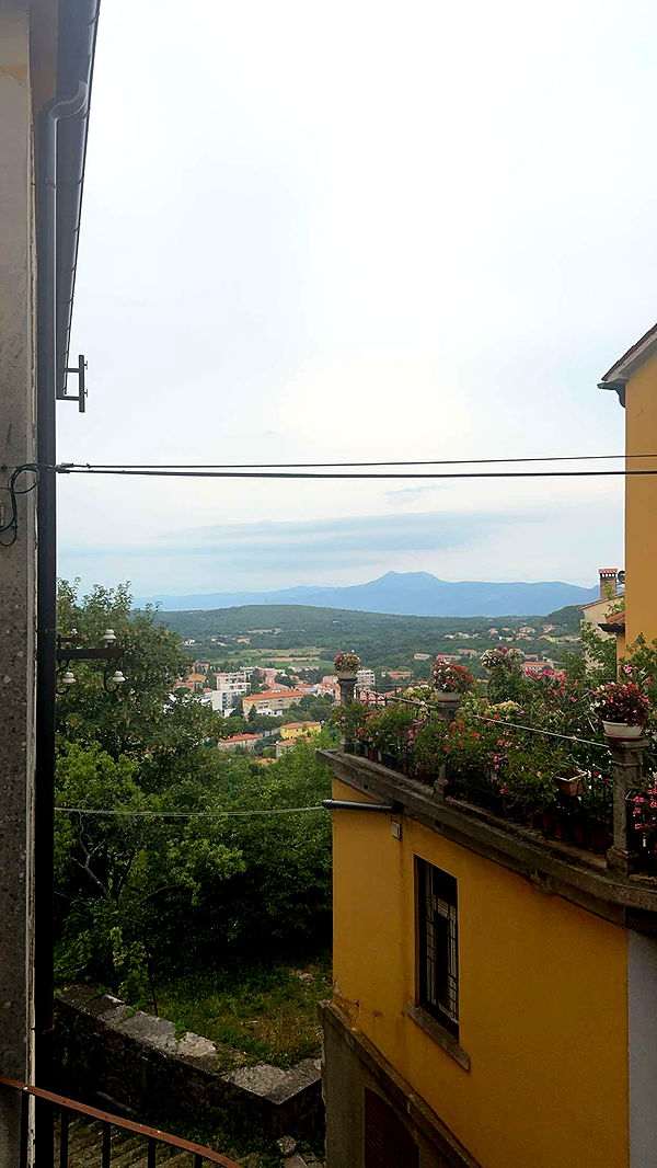 kylaayese image ~ Altpins