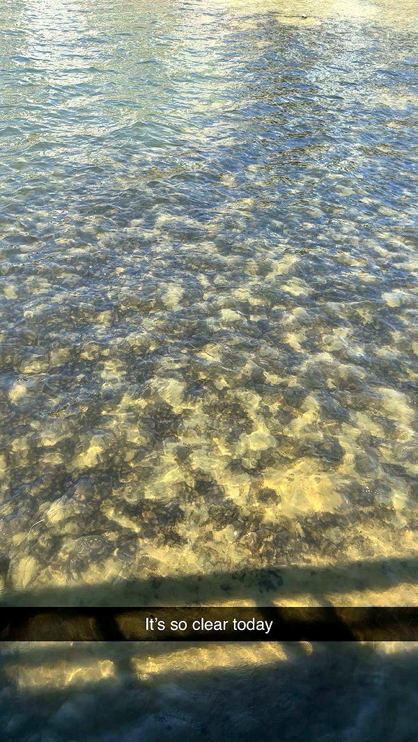 kylaayese image ~ Altpins