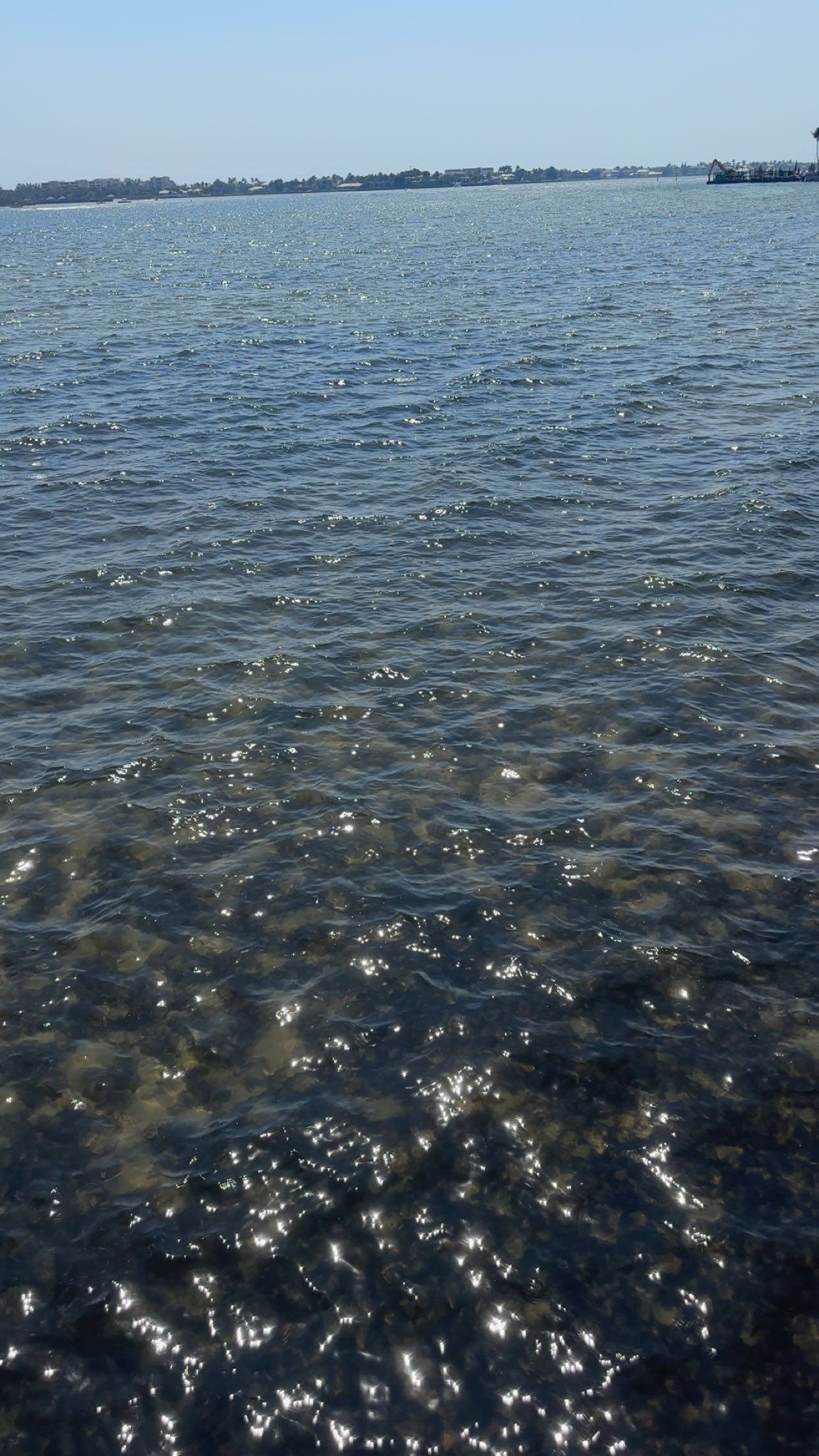 kylaayese snapchat image archive image