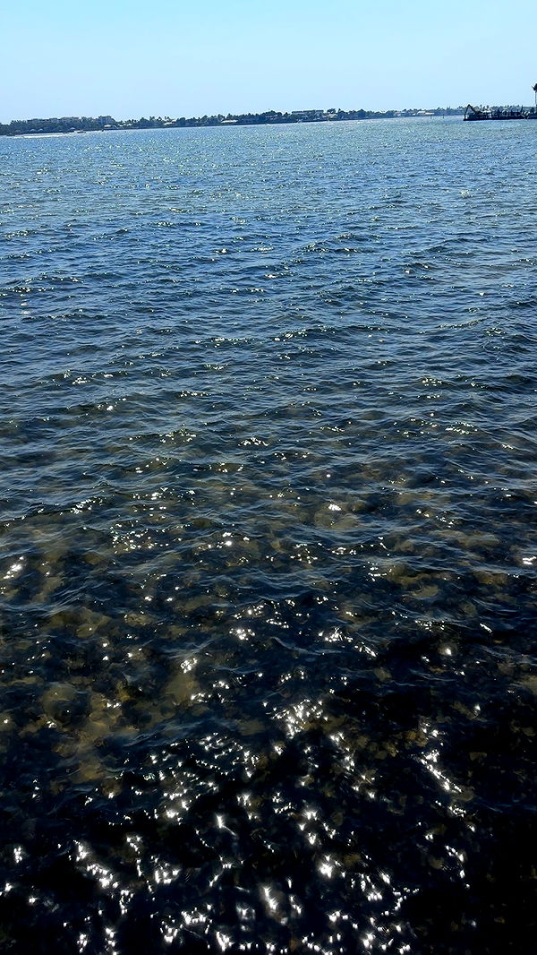 kylaayese image ~ Altpins