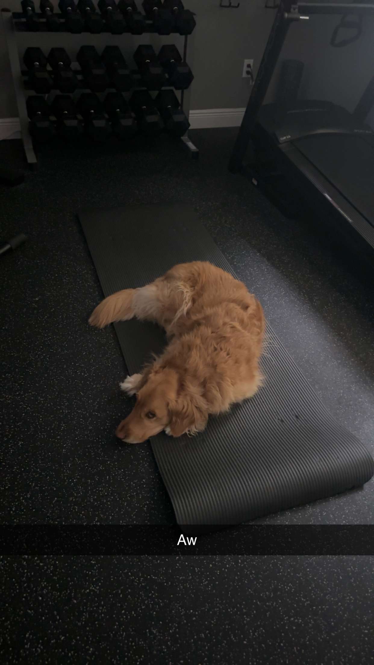 kylaayese snapchat image archive image