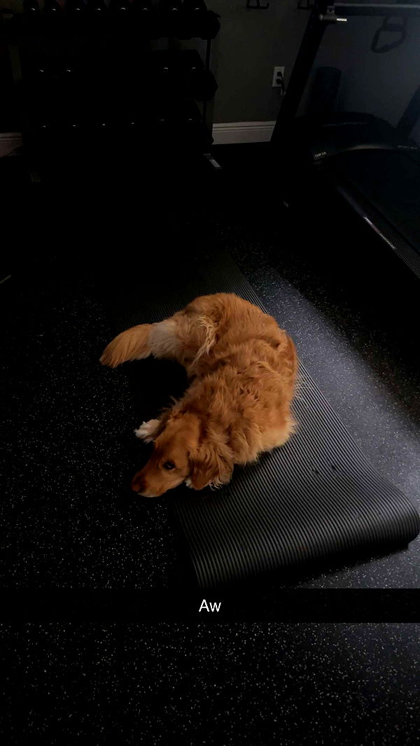 kylaayese image ~ Altpins