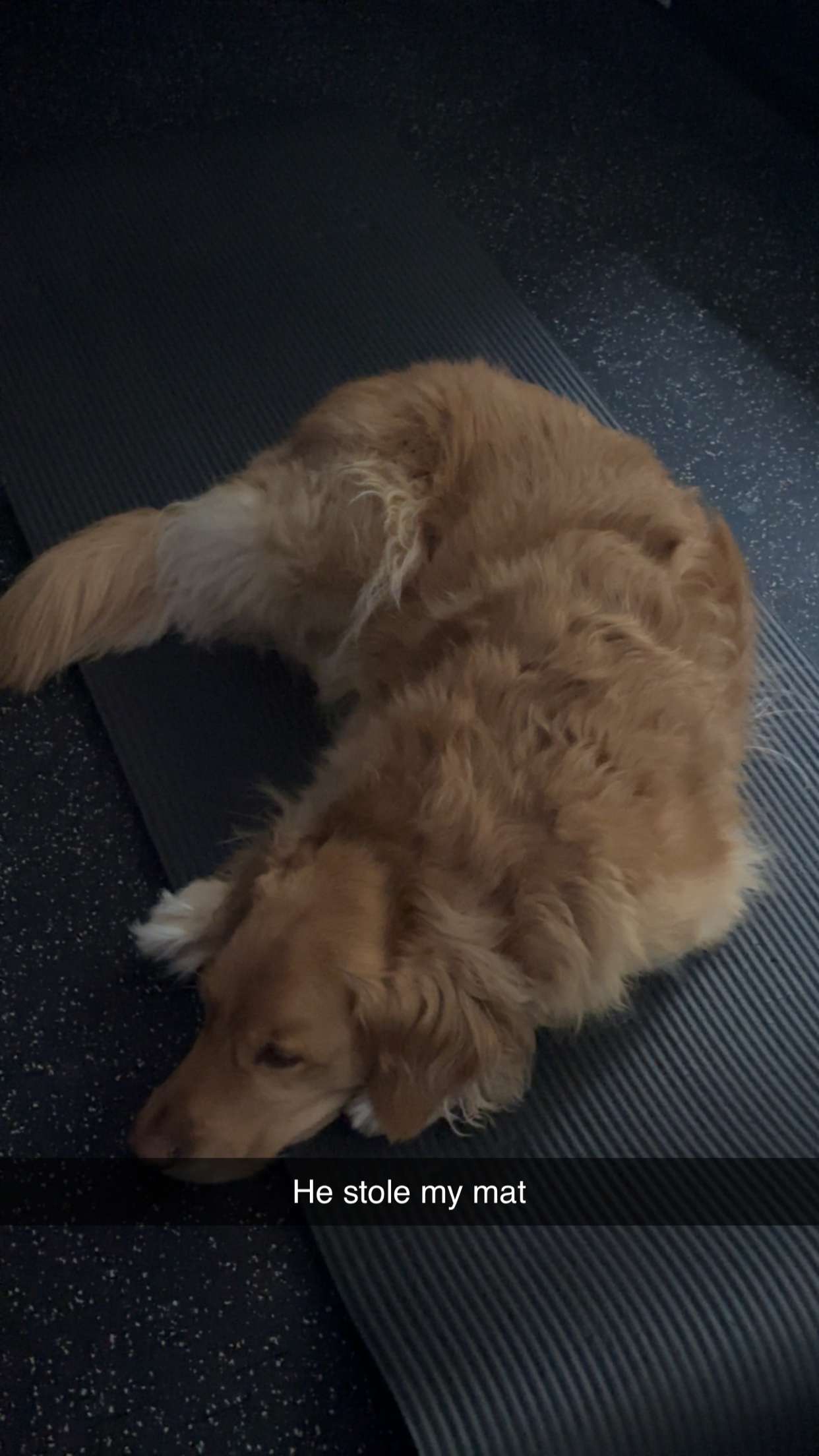 kylaayese snapchat image archive image