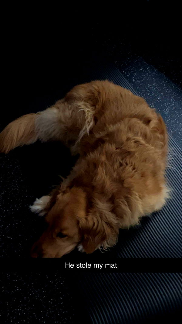 kylaayese image ~ Altpins