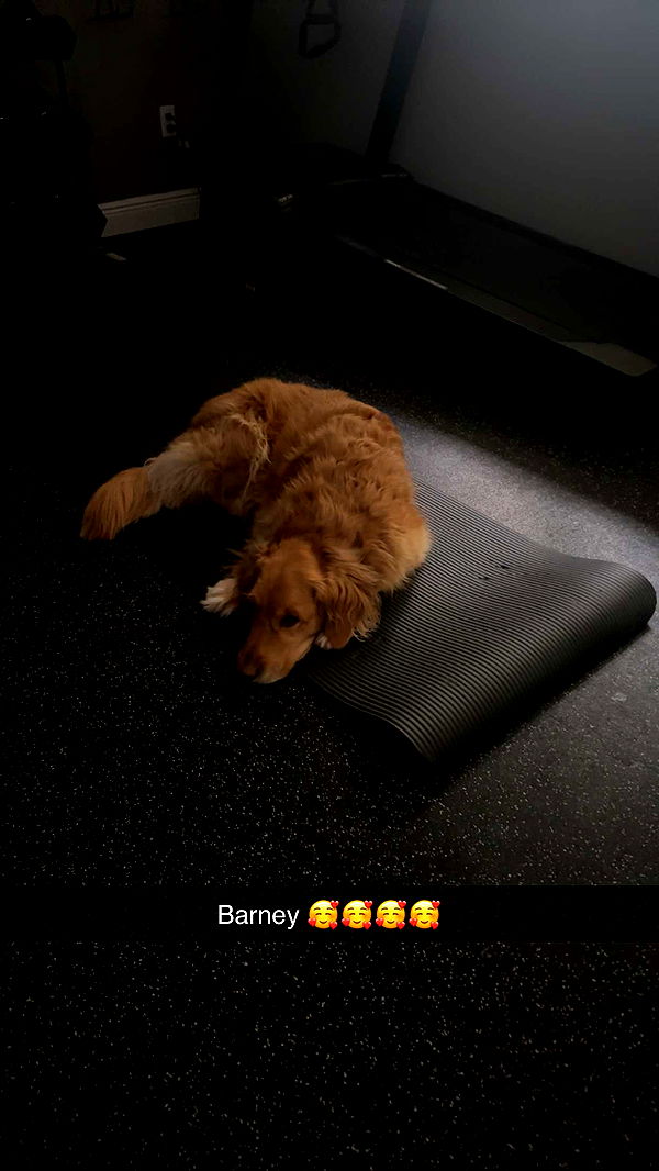 kylaayese image ~ Altpins