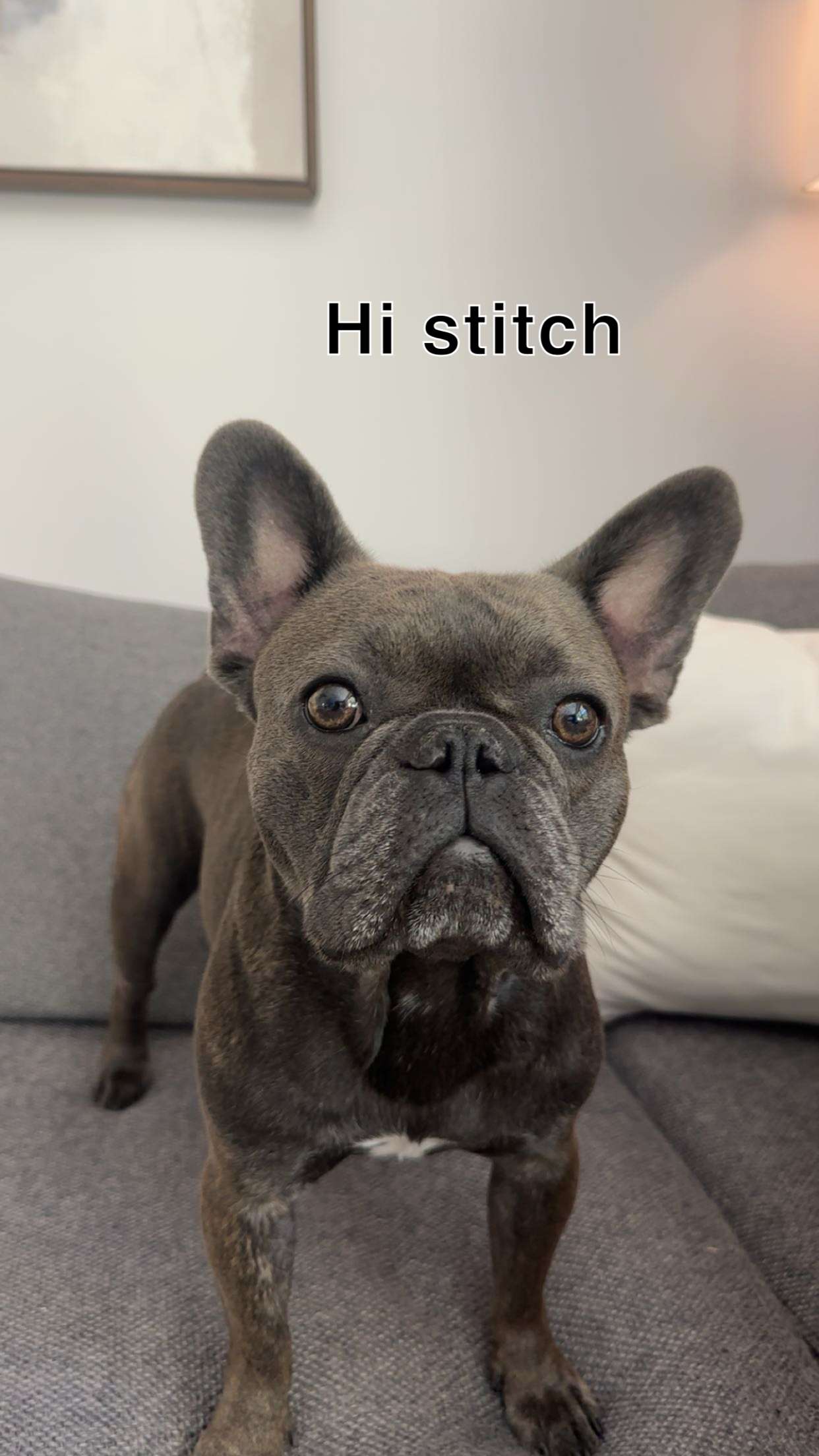 kylaayese snapchat image archive image