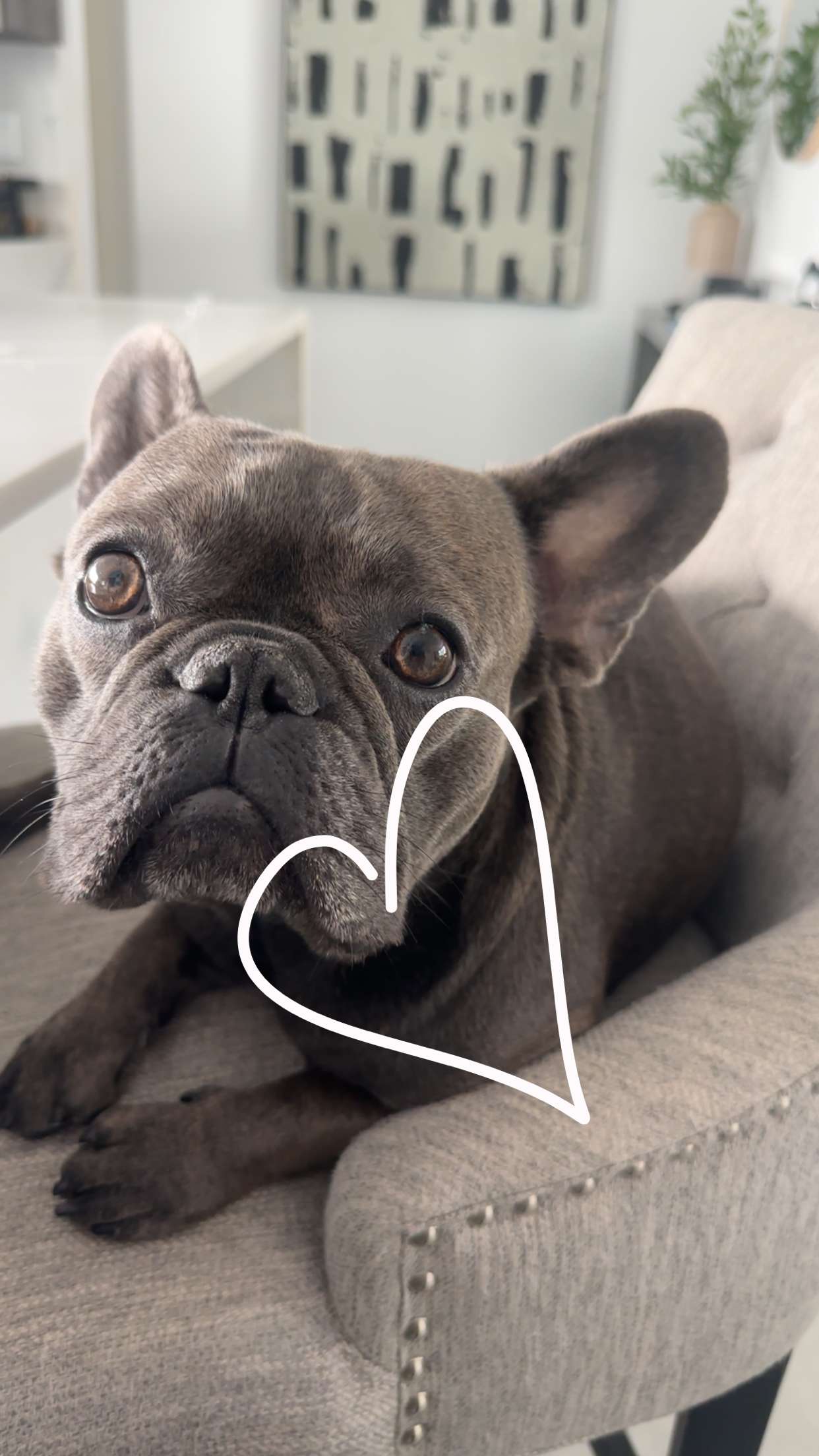 kylaayese snapchat image archive image