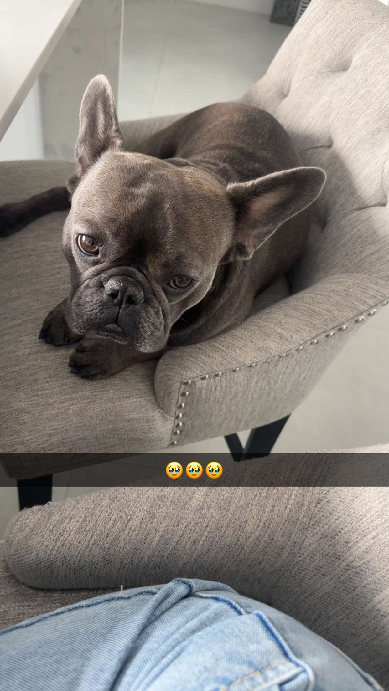 kylaayese snapchat image archive image