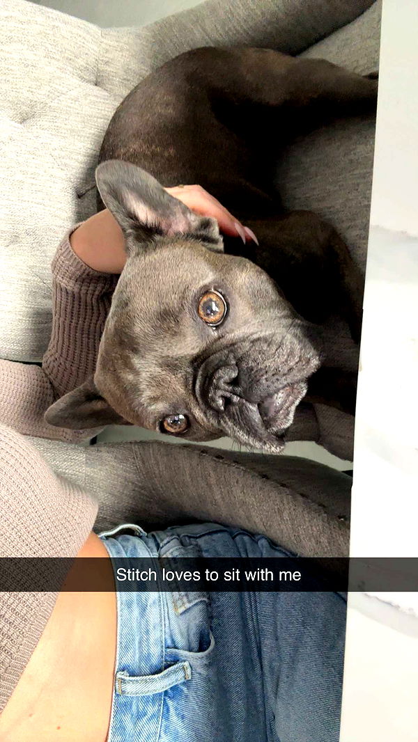 kylaayese image ~ Altpins