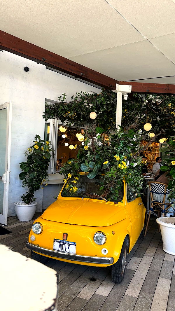 kylaayese image ~ Altpins