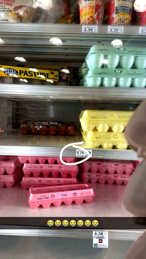 kylaayese image ~ Altpins