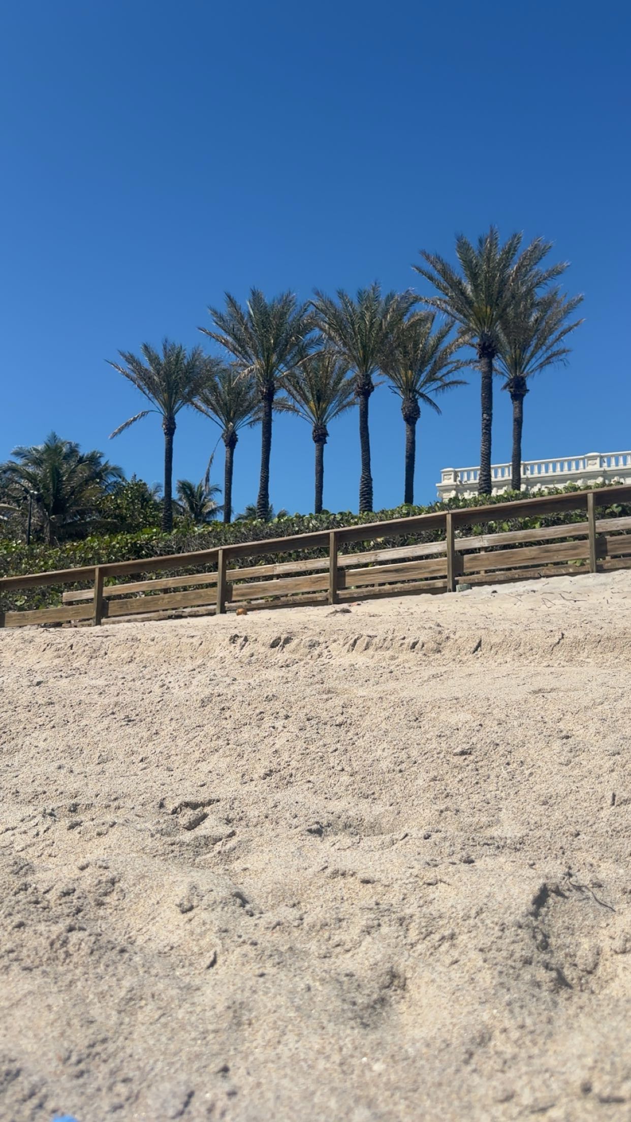 kylaayese snapchat image archive image