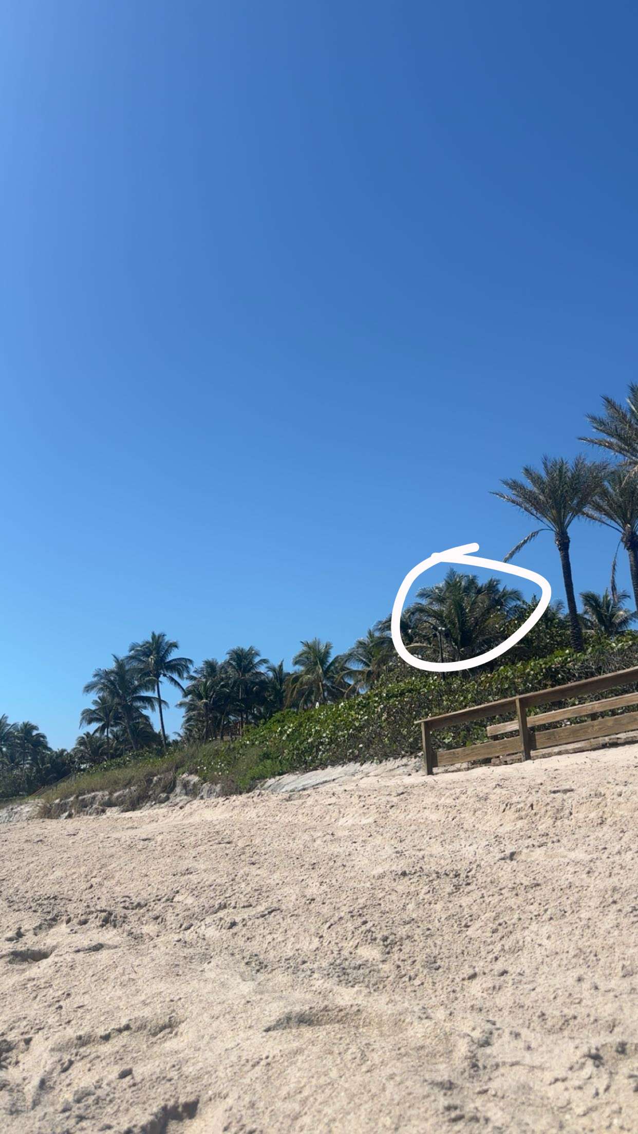 kylaayese snapchat image archive image