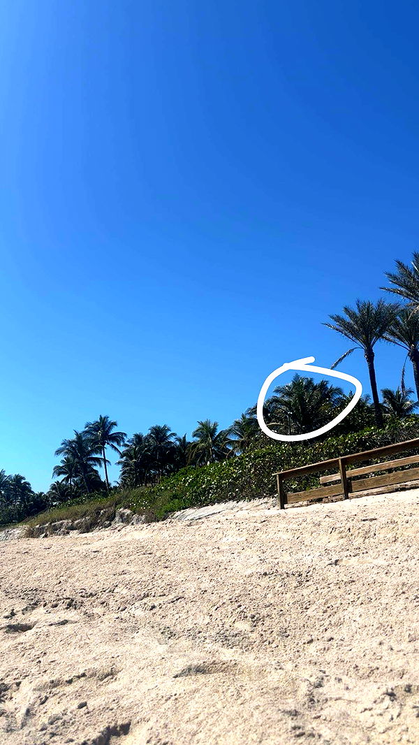 kylaayese image ~ Altpins