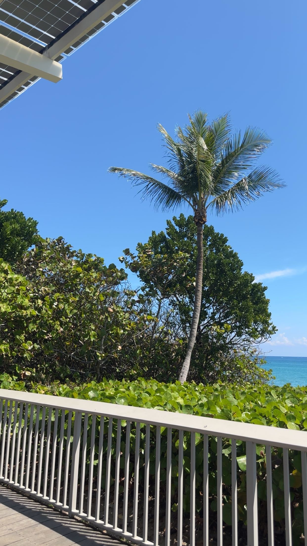 kylaayese snapchat image archive image