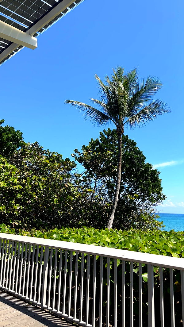 kylaayese image ~ Altpins