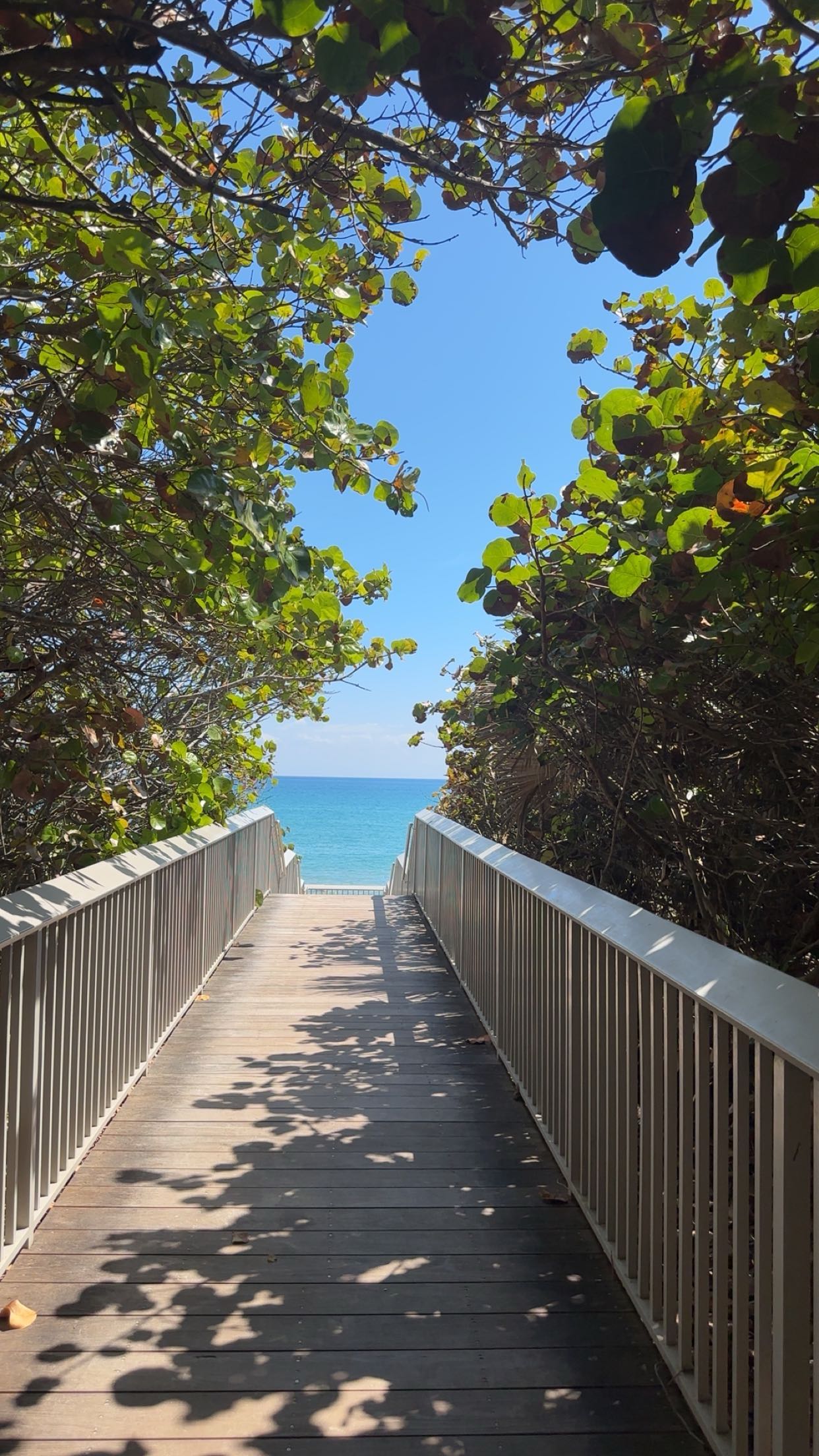 kylaayese snapchat image archive image