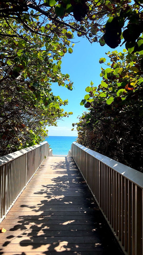 kylaayese image ~ Altpins