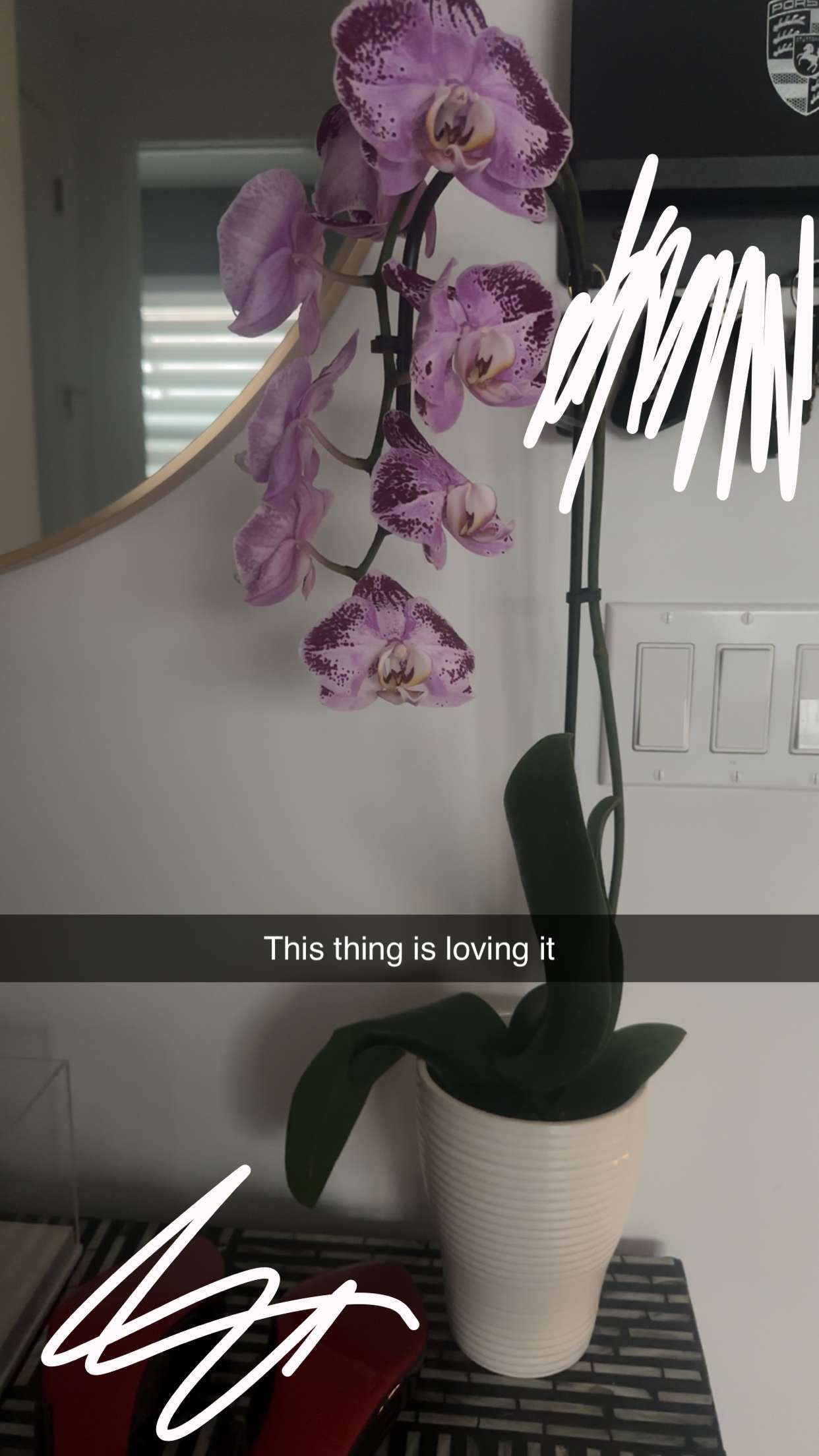 kylaayese snapchat image archive image