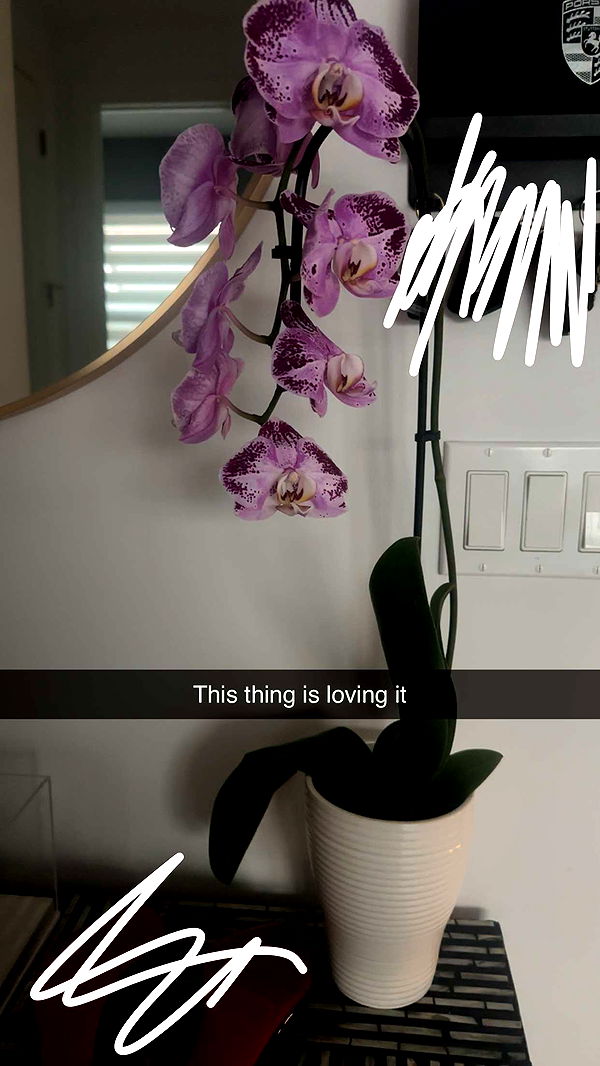 kylaayese image ~ Altpins