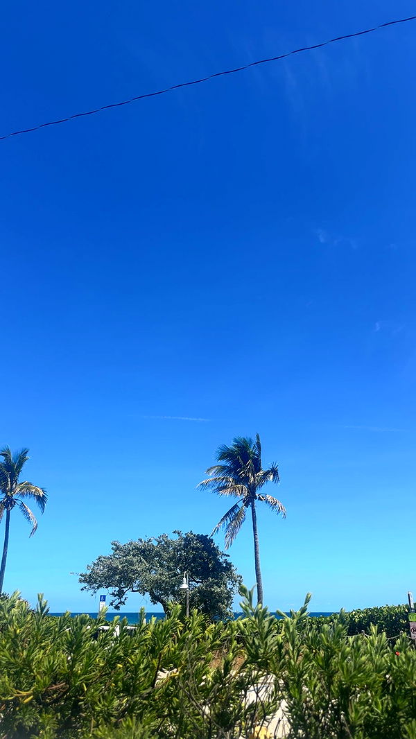 kylaayese image ~ Altpins