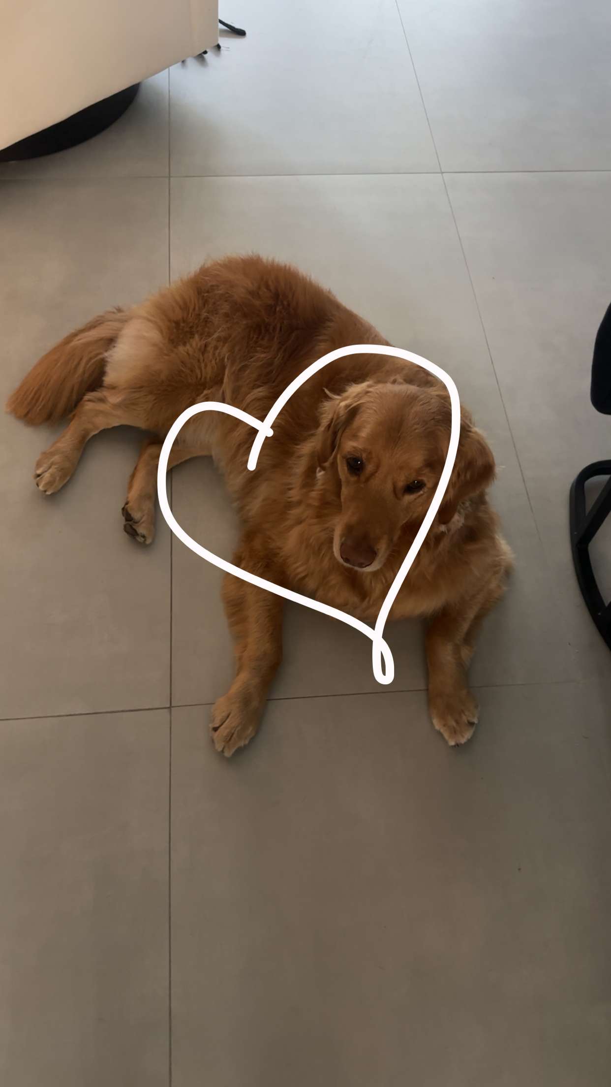 kylaayese snapchat image archive image