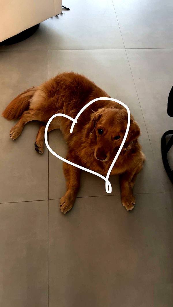 kylaayese image ~ Altpins