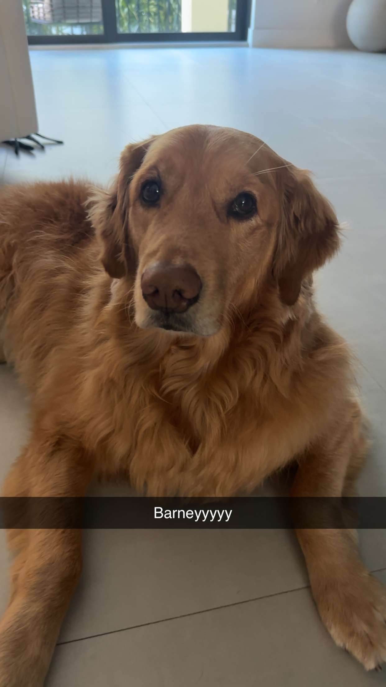 kylaayese snapchat image archive image