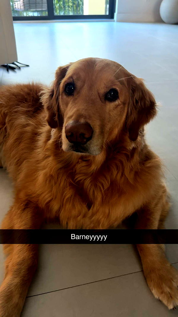 kylaayese image ~ Altpins