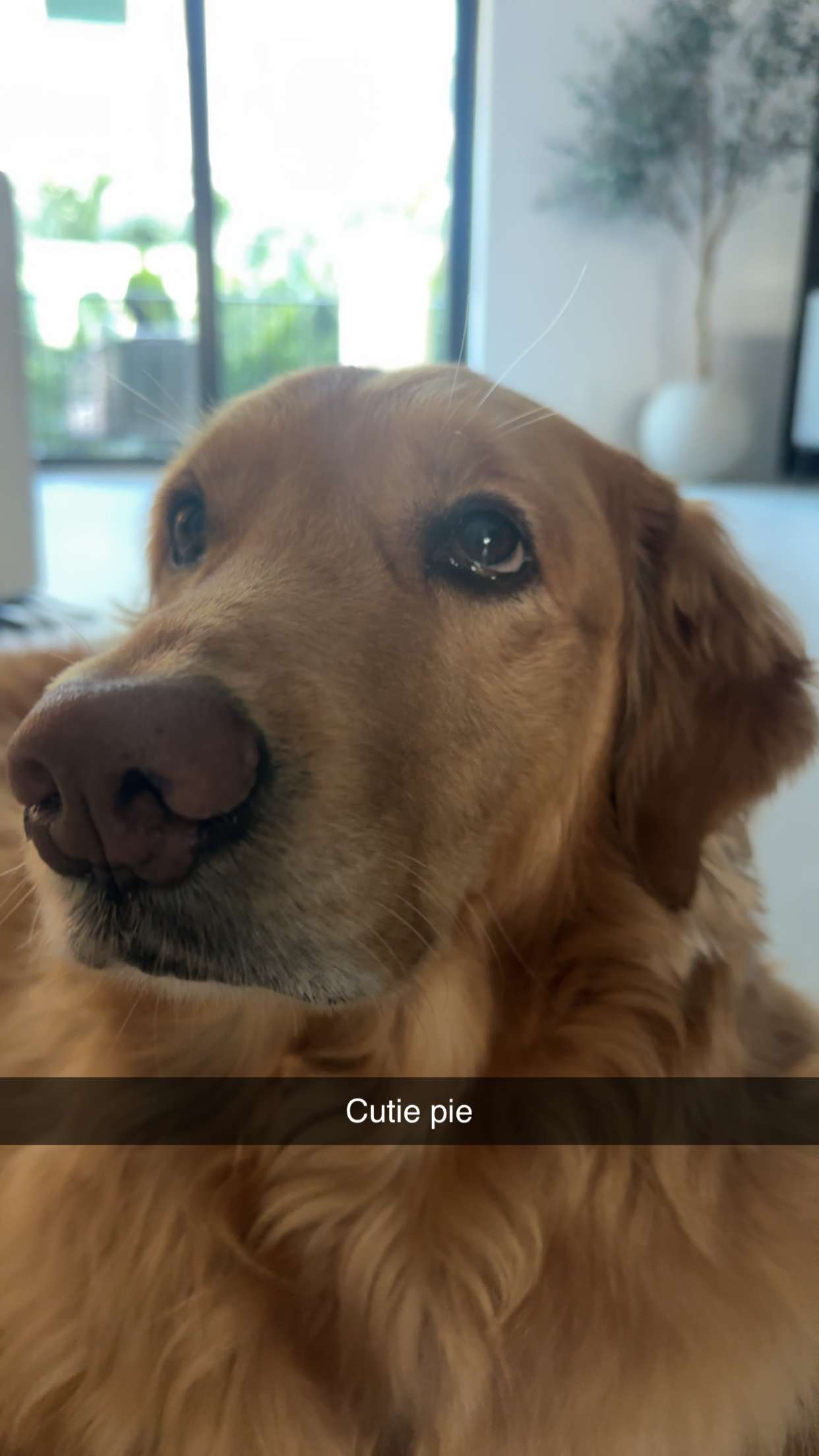 kylaayese snapchat image archive image