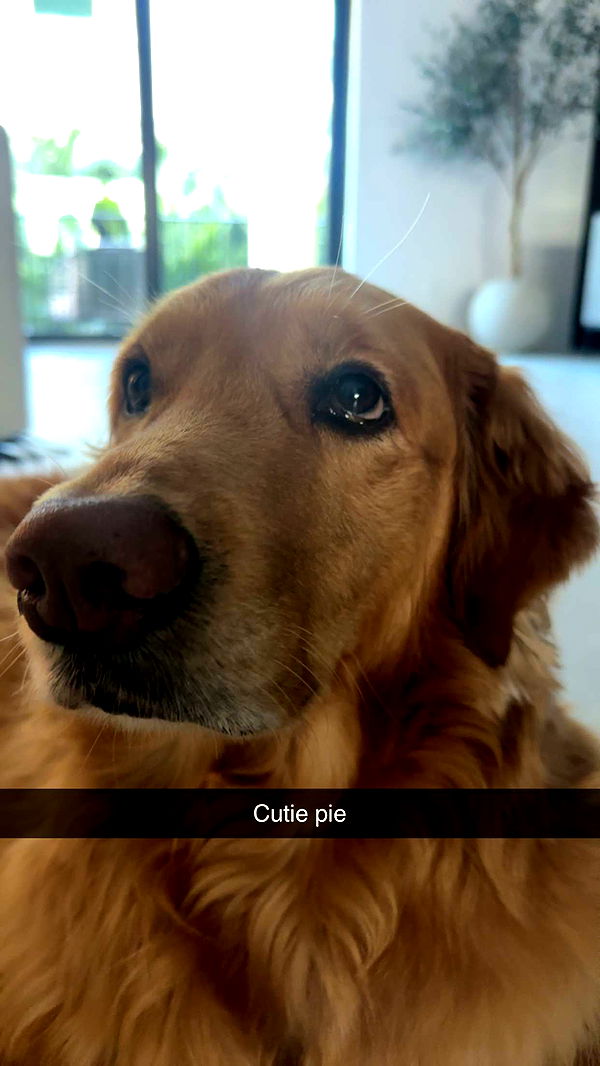 kylaayese image ~ Altpins