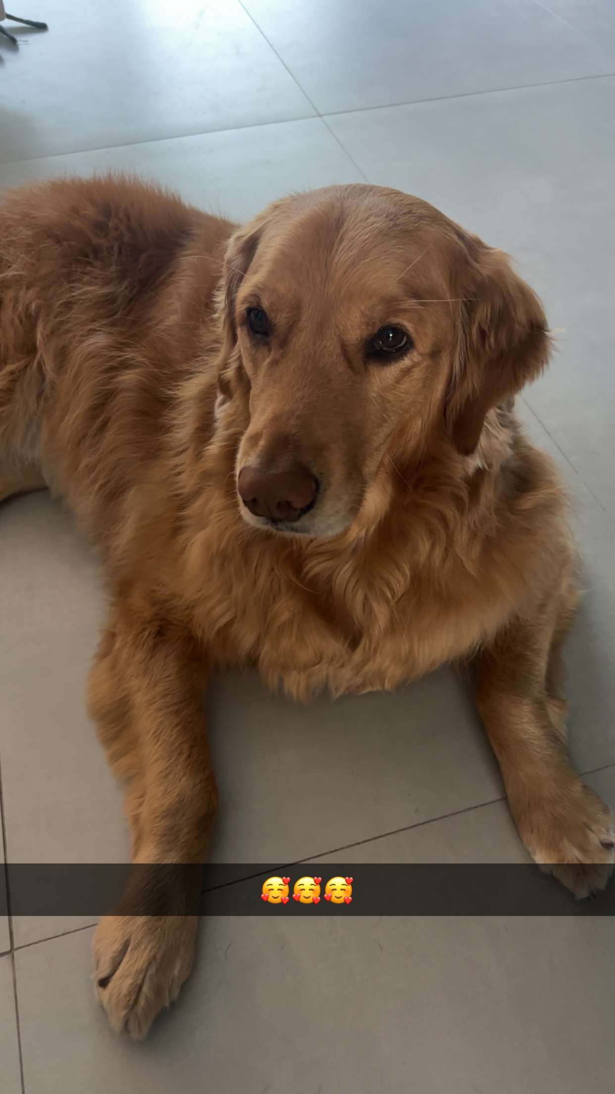 kylaayese snapchat image archive image