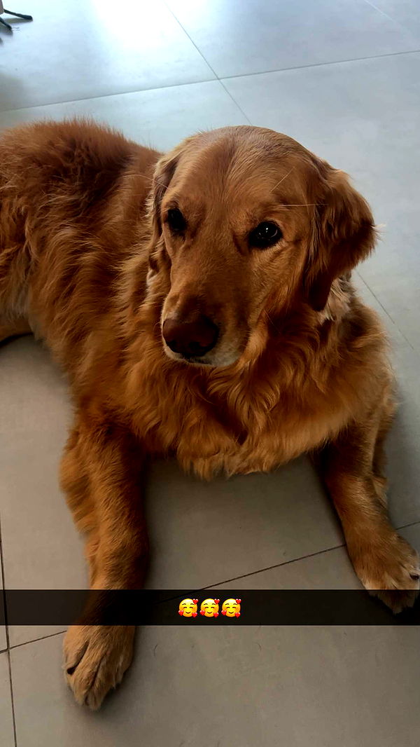 kylaayese image ~ Altpins