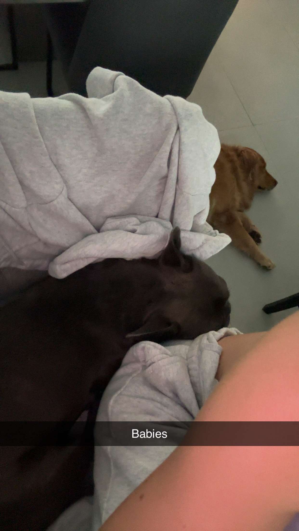 kylaayese snapchat image archive image