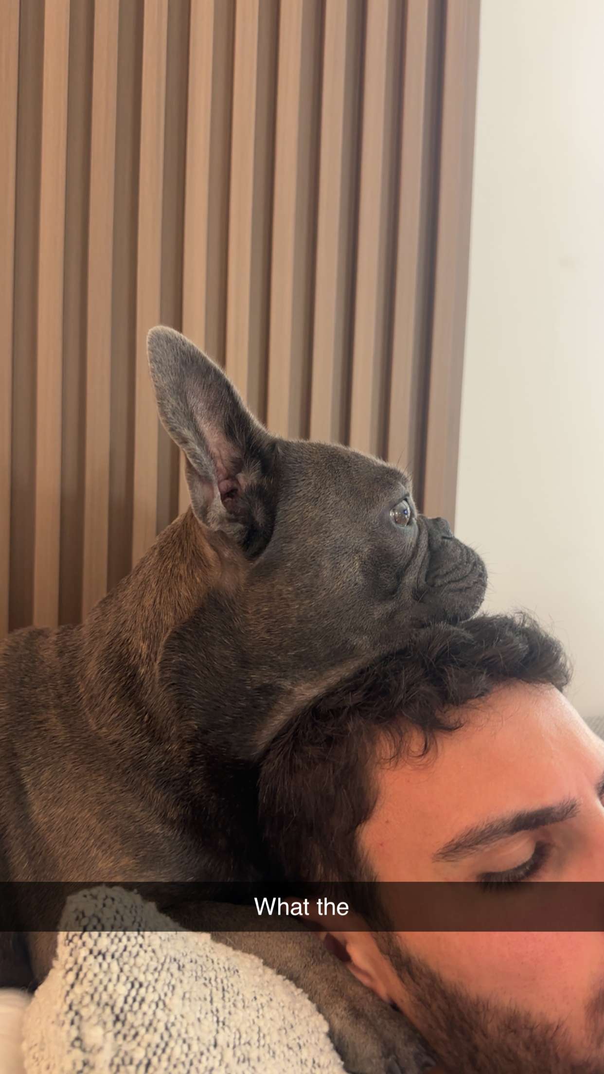 kylaayese snapchat image archive image