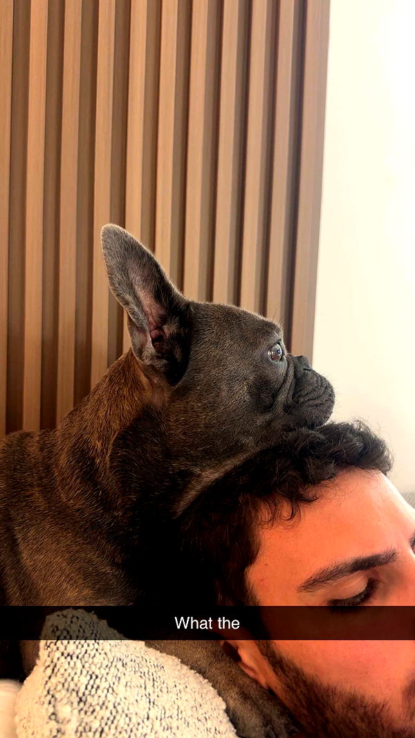 kylaayese image ~ Altpins