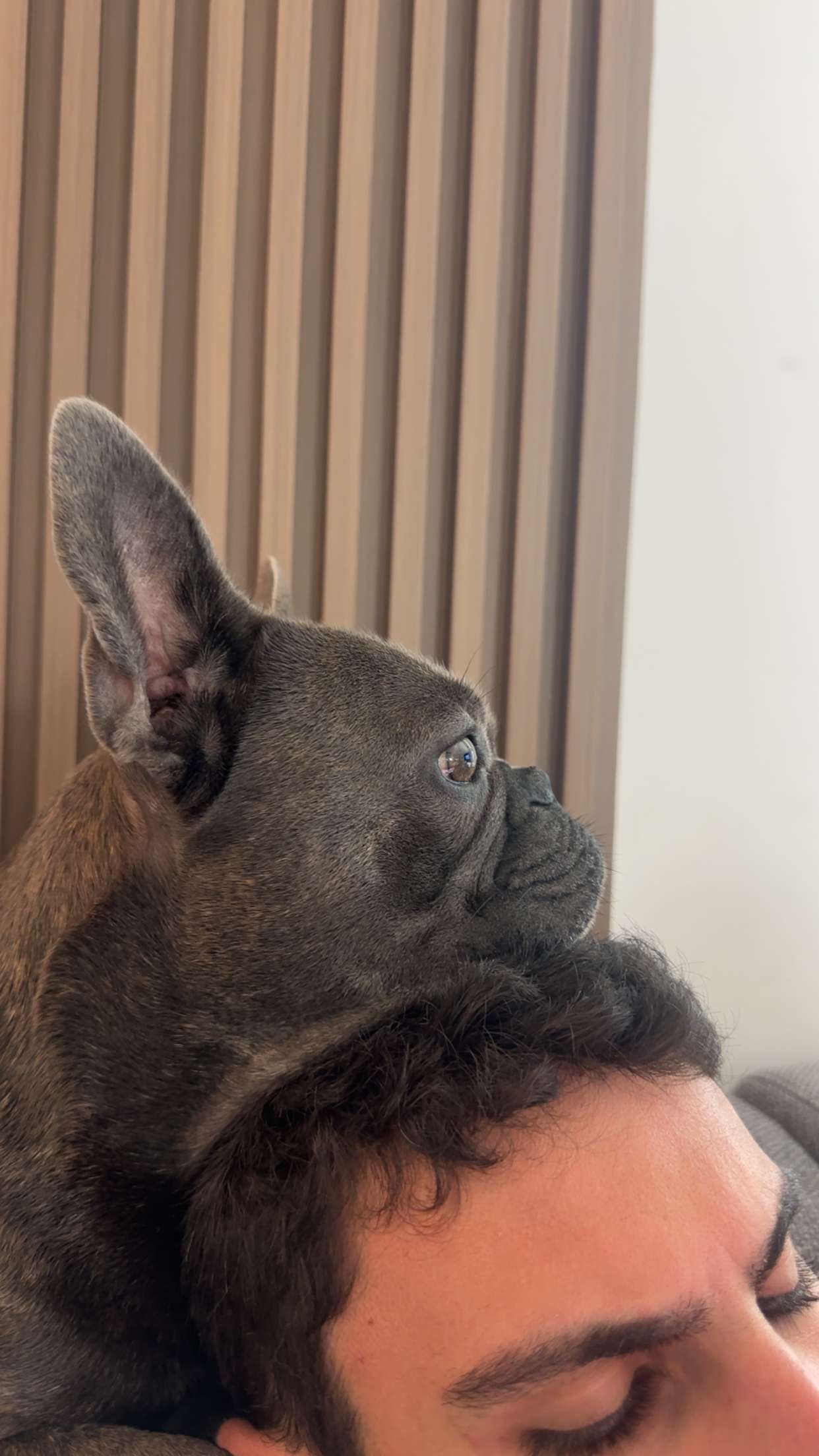 kylaayese snapchat image archive image