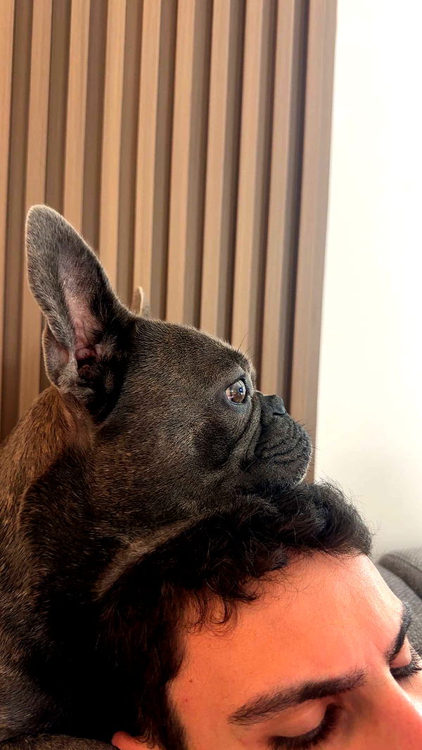 kylaayese image ~ Altpins