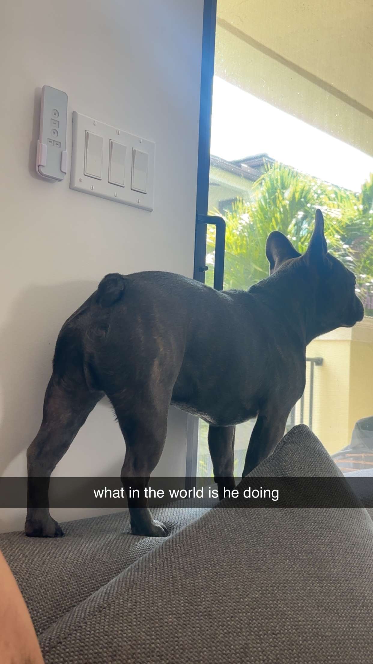 kylaayese snapchat image archive image