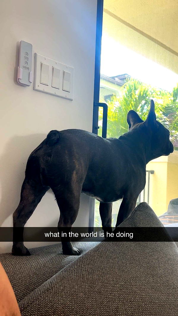 kylaayese image ~ Altpins