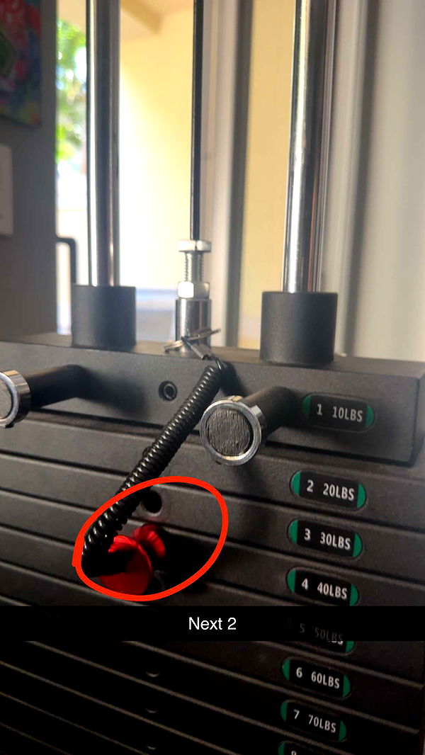 kylaayese image ~ Altpins