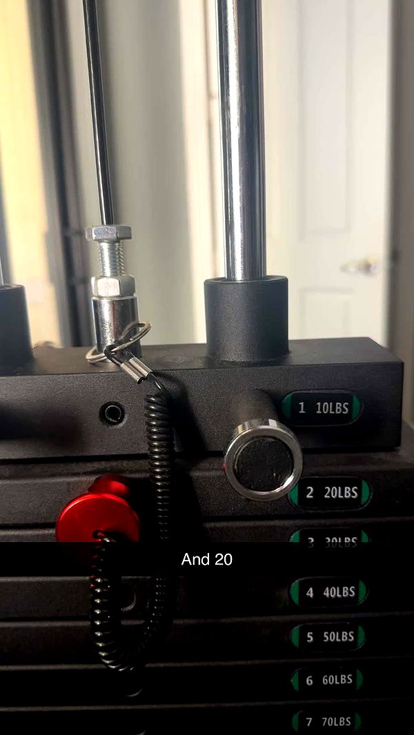 kylaayese image ~ Altpins