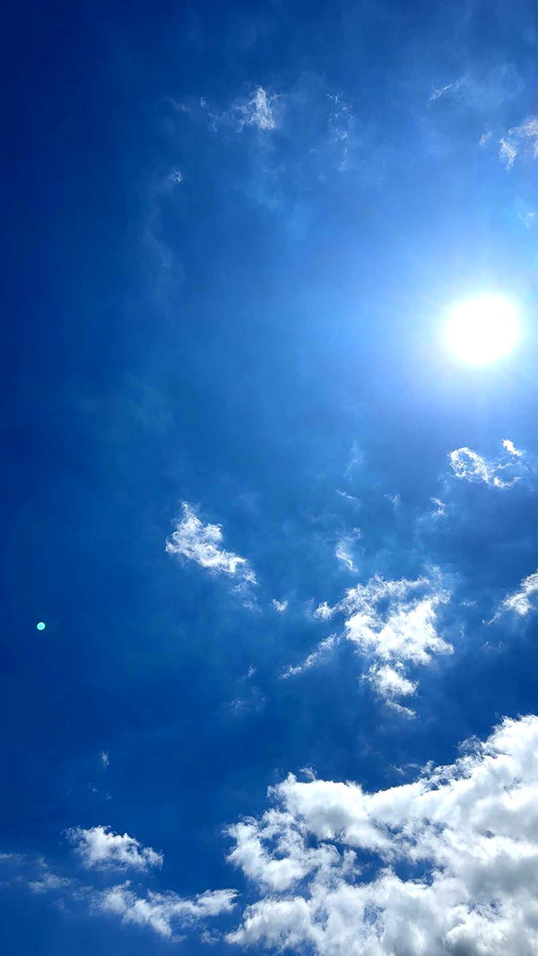 kylaayese image ~ Altpins