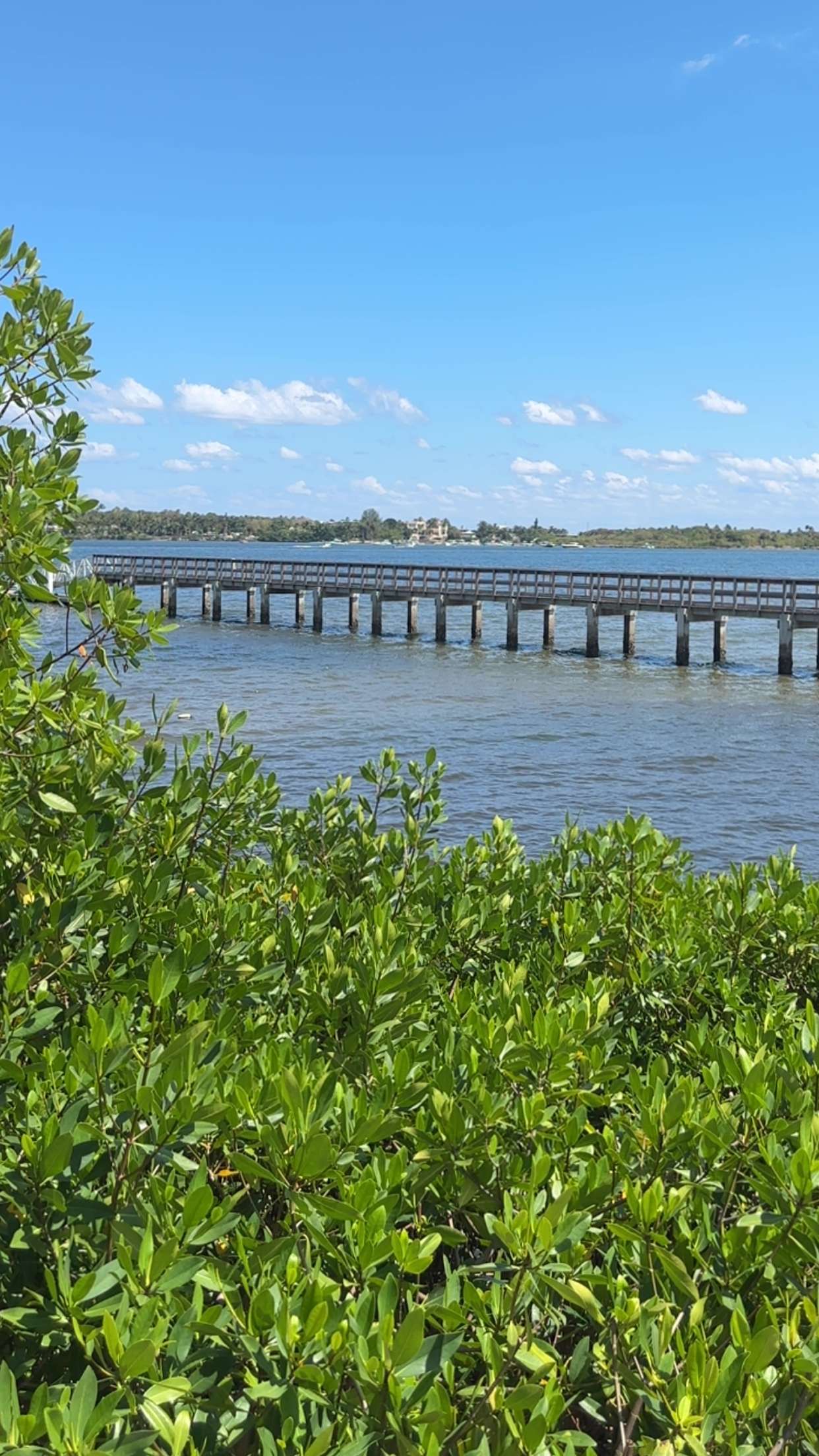 kylaayese snapchat image archive image