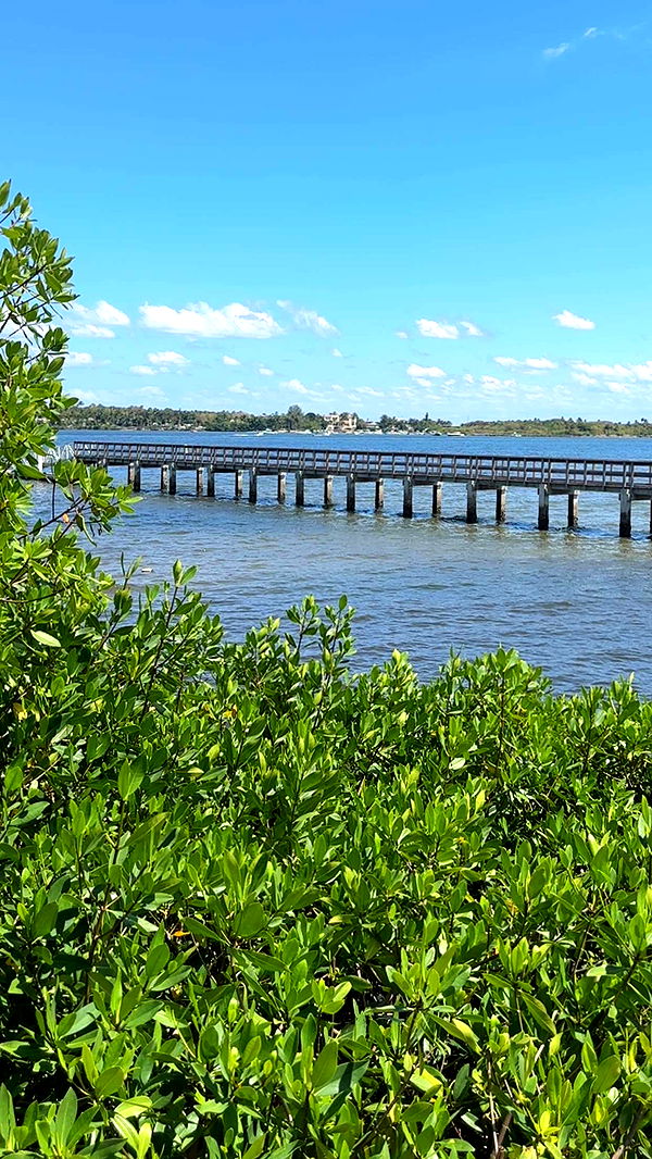 kylaayese image ~ Altpins