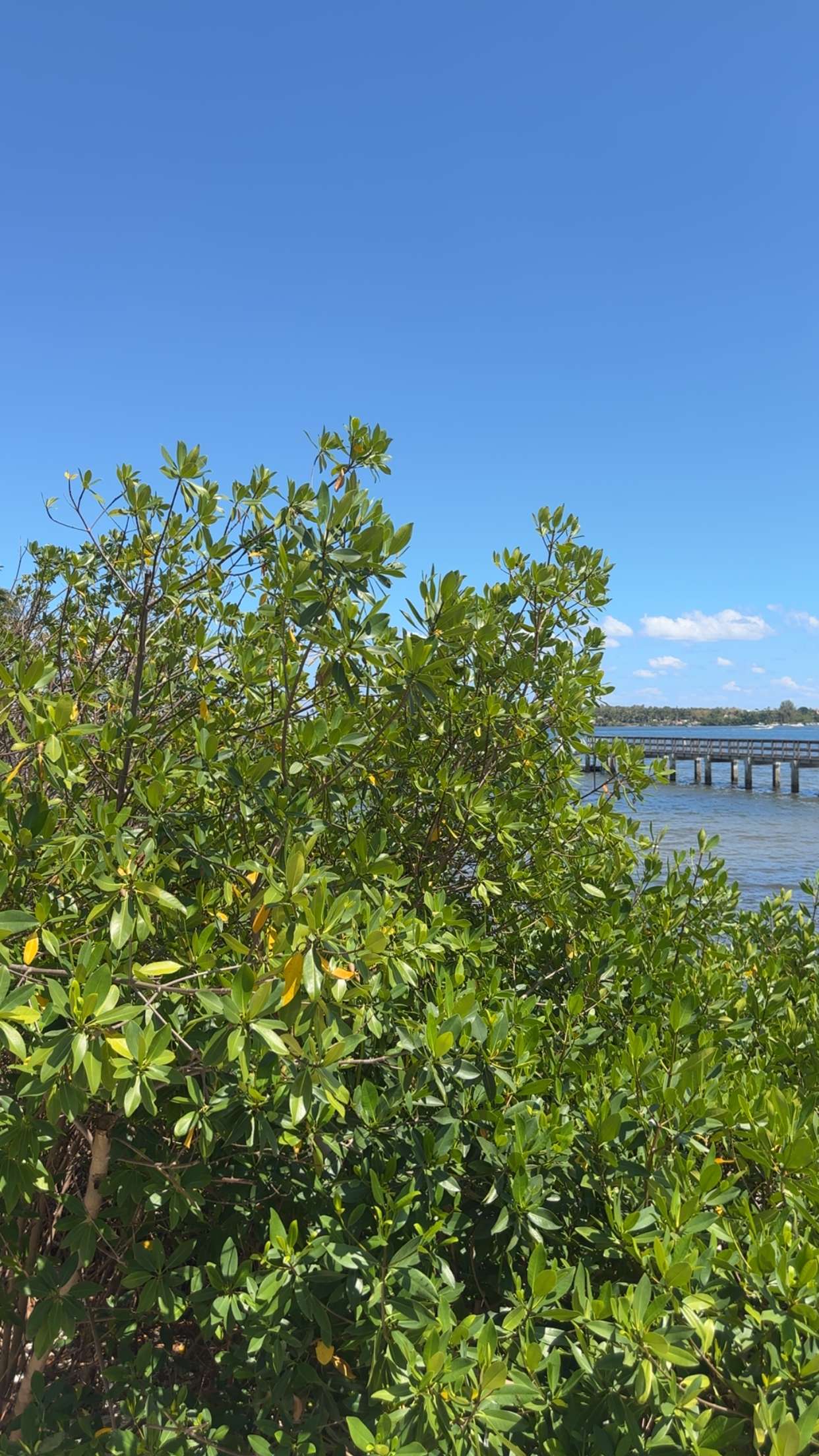 kylaayese snapchat image archive image