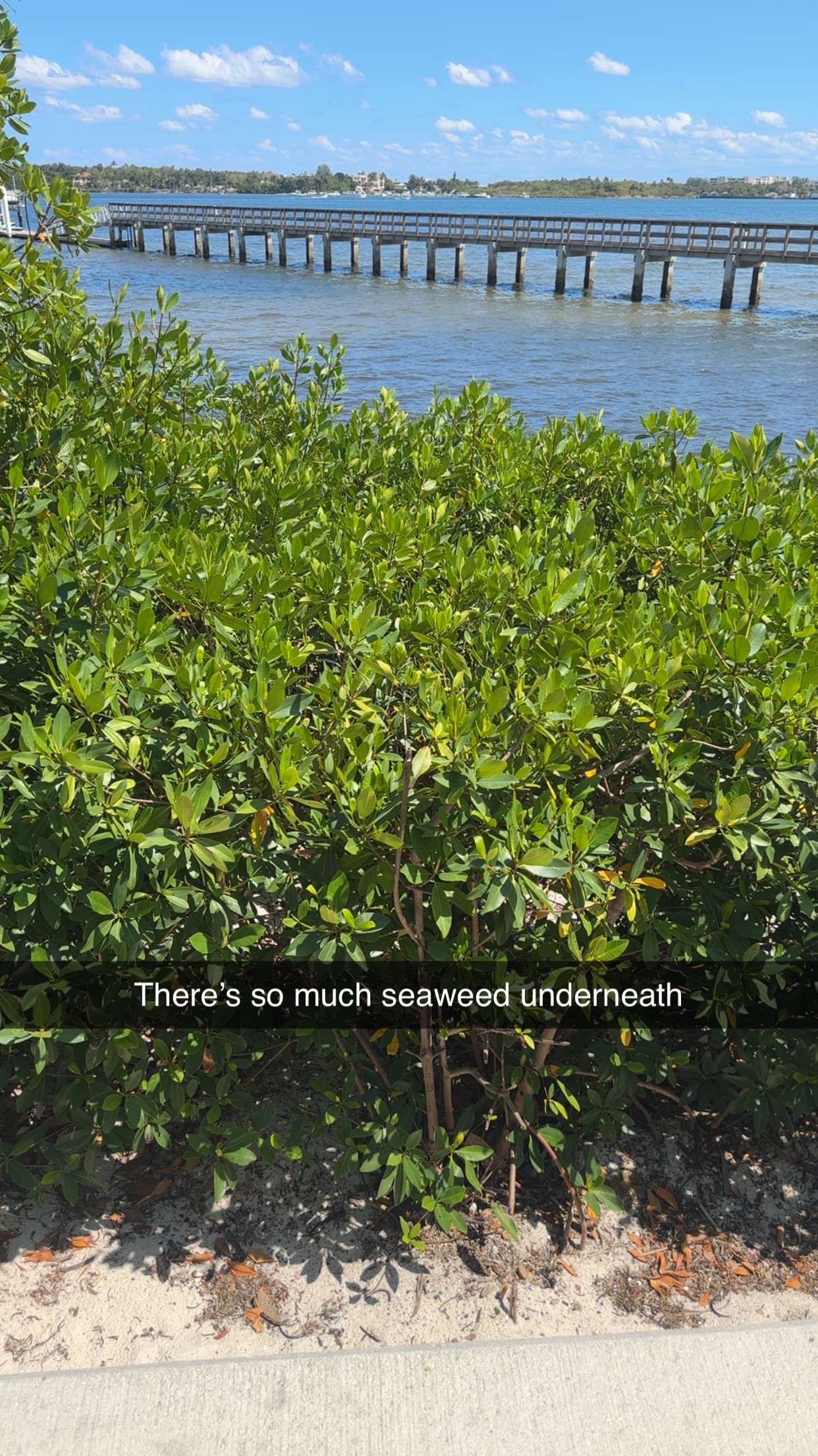 kylaayese snapchat image archive image