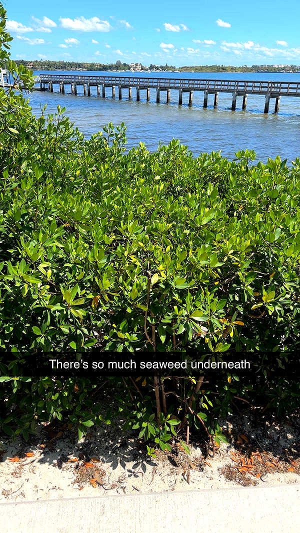 kylaayese image ~ Altpins